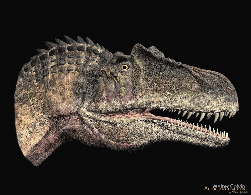 acrocanthosaurus teeth