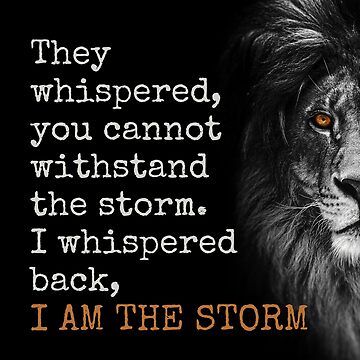 I am the storm!  Funny true quotes, Storm quotes, True quotes