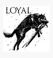 Great Wolf Sif Photographic Print