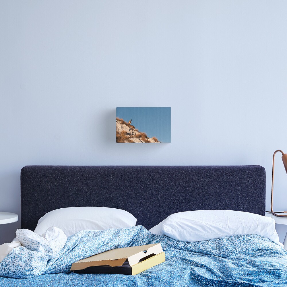 Sunbather Canvas Print
