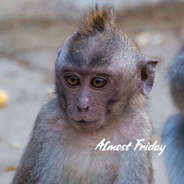 Almost Friday Cool Monkey  Essential T-Shirt for Sale by