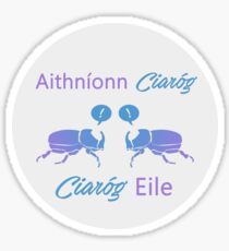Aithníonn Ciaróg Ciaróg Eile Sticker