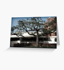 Abandoned Greeting Card