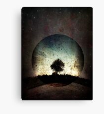 One with the Universe Canvas Print