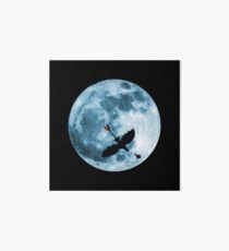 Full Moon Flight Art Board