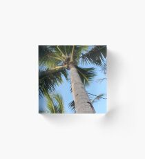 Palme Acrylblock
