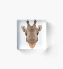 Giraffe Acrylic Block