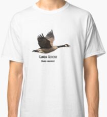 Camiseta clásica Canada Goose Isolated 2015
