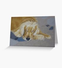 Sleeping Pet Greeting Card