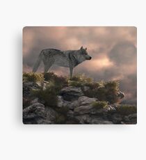 Timber wolf Canvas Print
