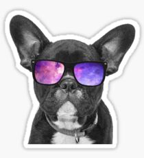 Space Dog - Cute Puppy Sticker Sticker