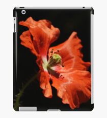Flame iPad Case/Skin