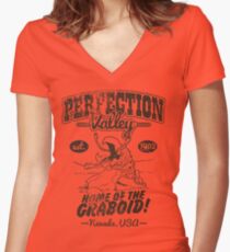 Perfection Valley Women's Fitted V-Neck T-Shirt