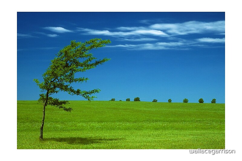 "A Windy Day In Kansas (c)" by Wallace Garrison Redbubble