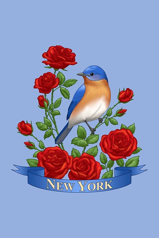"New York State Bird & Flower Bluebird & Roses" by csforest | Redbubble