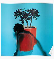 Local Natives - Sunlit Youth Poster