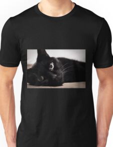 Lying Cat: T-Shirts | Redbubble