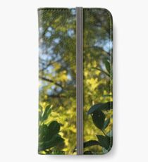 Stillness iPhone Wallet/Case/Skin