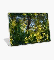 Stillness Laptop Skin