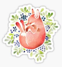 Sleeping fox and blue berries Sticker