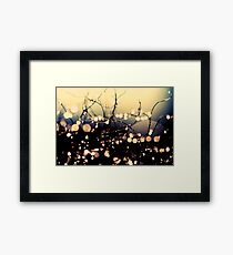 Where wishes come true. Framed Print