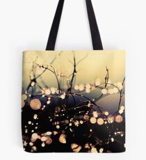 Where wishes come true. Tote Bag