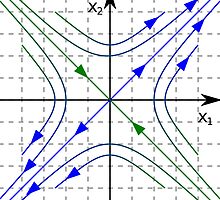 The singular points of the integral curves.  Saddle by znamenski