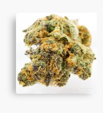 Girl Scout Cookies Strain Canvas Print