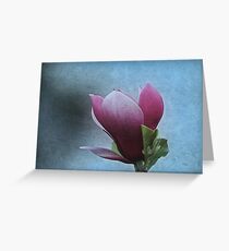 Solitude Greeting Card