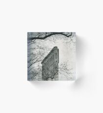 Flatiron Vintage Acrylic Block