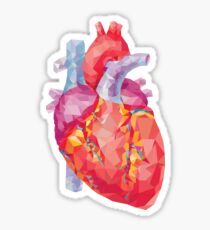 illustration de coeur humain polygonale Sticker