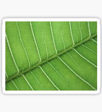 natures veins Sticker