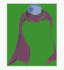 Mysterio Photographic Print