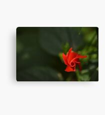 Flower Love Canvas Print