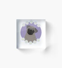 Bloque acrílico Daisy Pug.