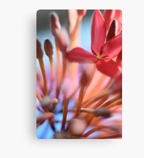Tropical Flowers Macro Canvas Print