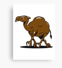 Camel funny funny Canvas Print