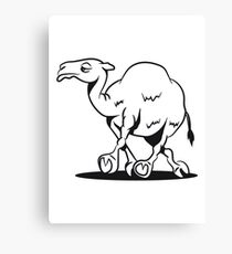 Camel funny funny Canvas Print