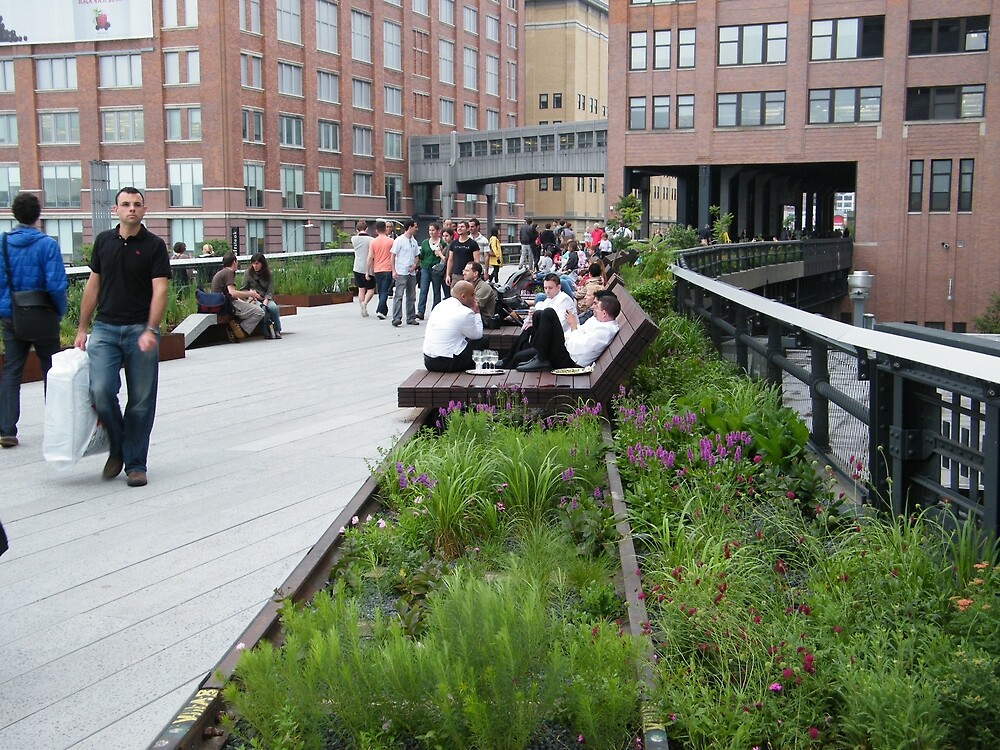 "High Line, New York's Elevated Garden and Walkway" by lenspiro  Redbubble