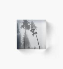 Dark foggy woods Acrylic Block