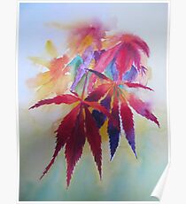 Colors of Autumn Poster