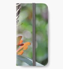Butterfly Macro iPhone Wallet/Case/Skin