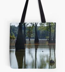 Cypress Reflection Tote Bag
