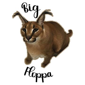 big floppa - Memes With An Overall Lack Of Context