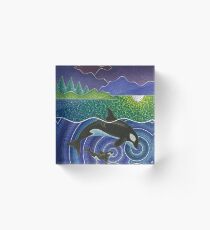 Orca Sonic Liebe Acrylblock