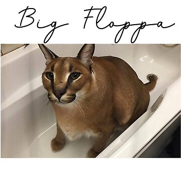 Big Floppa Meme Cat T-Shirt  Cat memes, Caracal, Funny animal
