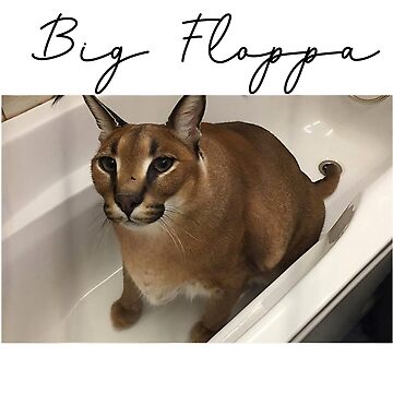 Big Floppa Meme Photographic Print for Sale by definitediffere