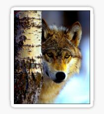 TIMBER WOLF; Vintage Wilderness Print Sticker