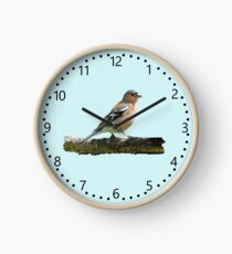 Chaffinch - number dial markings, Blue background Clock