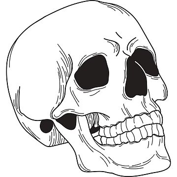 Skull (PIXEL ART) Sticker for Sale by RDX84